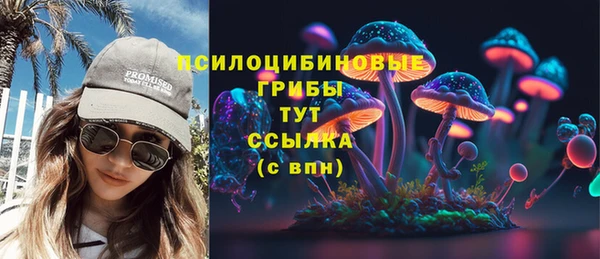 твердый Алексеевка